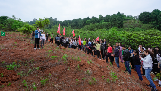 省J9九游会集团开展龙泉山城市森林公园 “包山头”植树活动